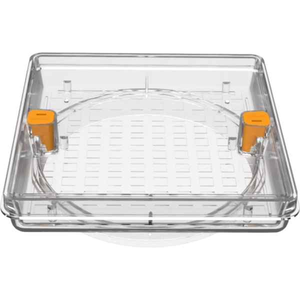fill-lid-clear