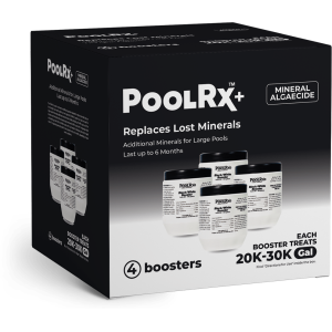 Black/White (With Silver) Booster (4 Pack)